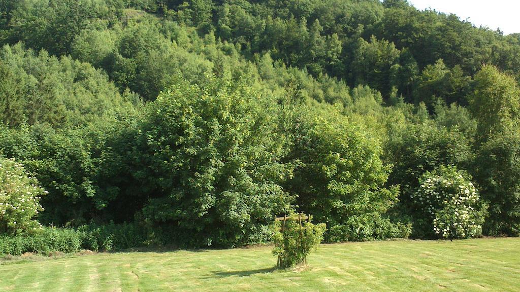 La Cle Des Champs Villa Bertogne Exterior foto